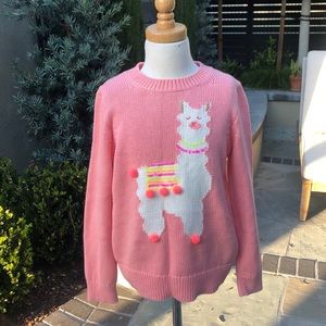 Crewcuts llama sweater